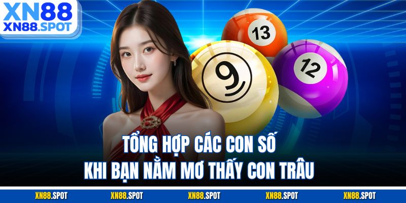 Tổng hợp các con số khi bạn nằm mơ thấy con trâu
